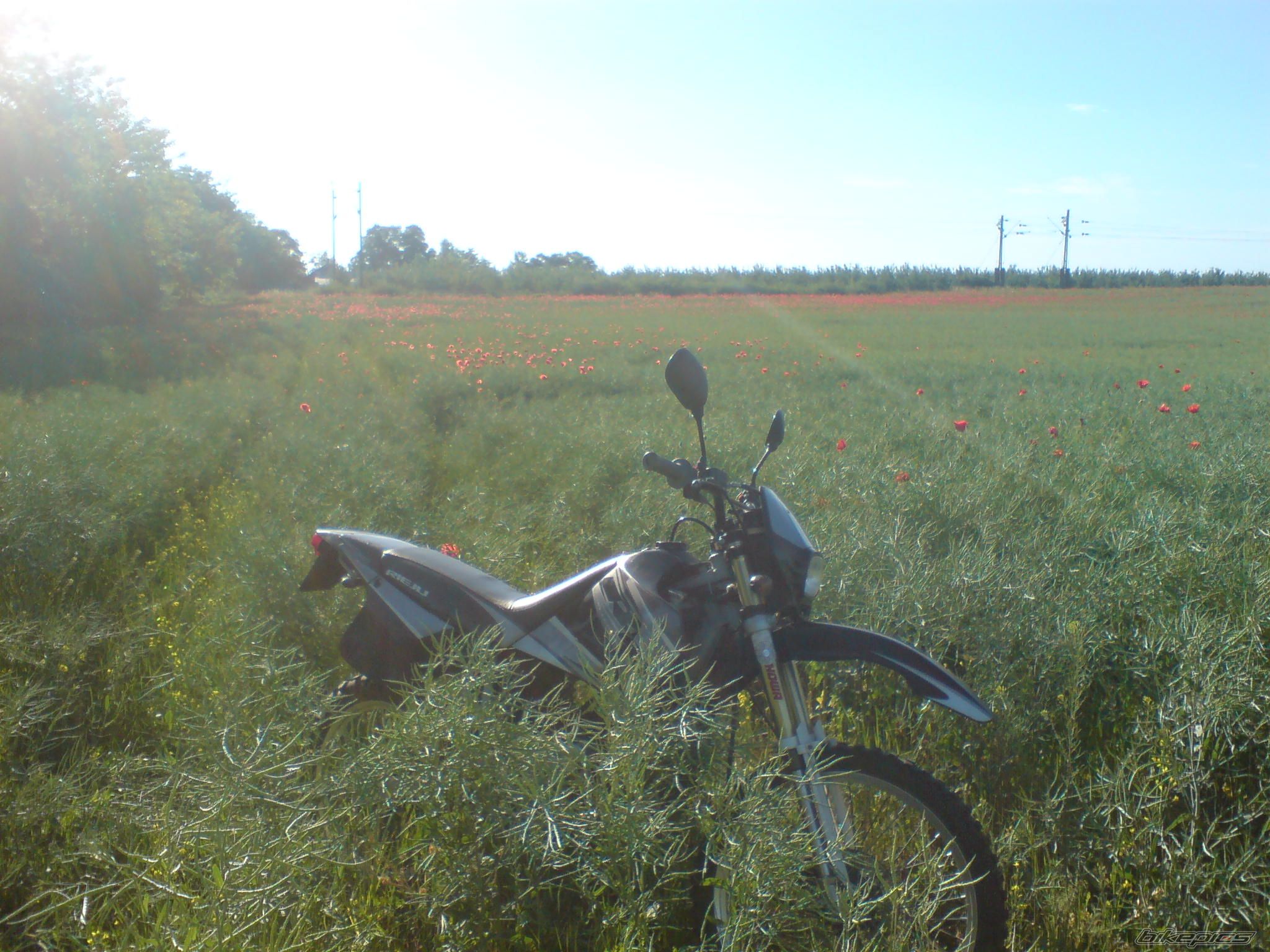 Photo 1677390