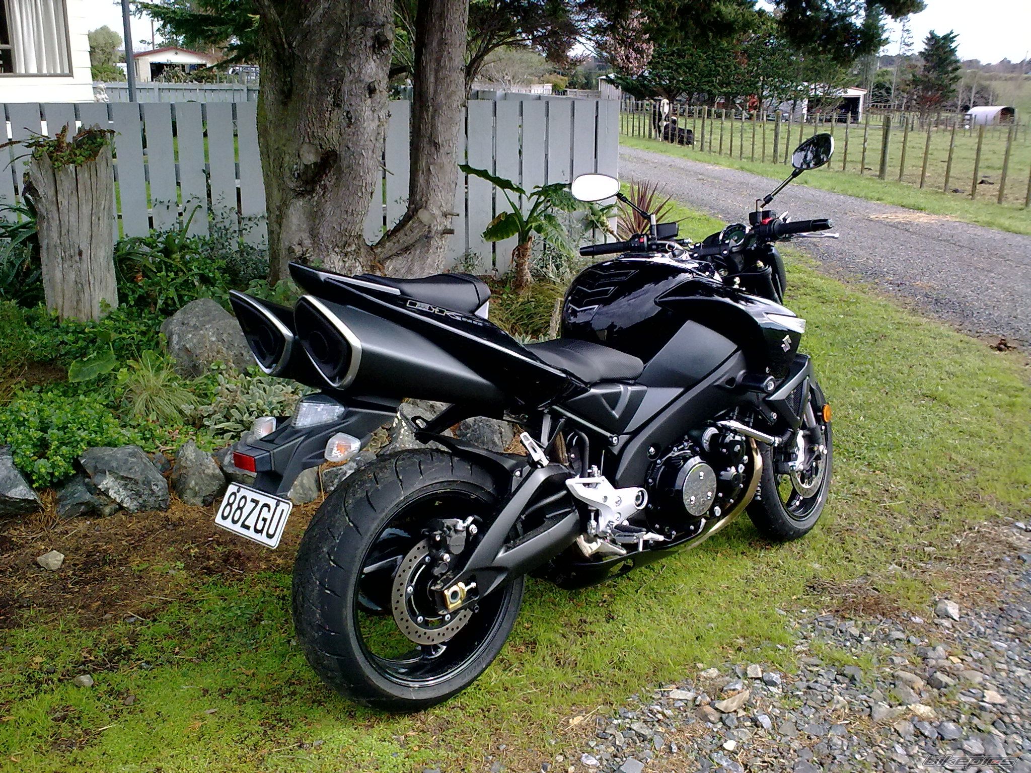 Photo 1677519