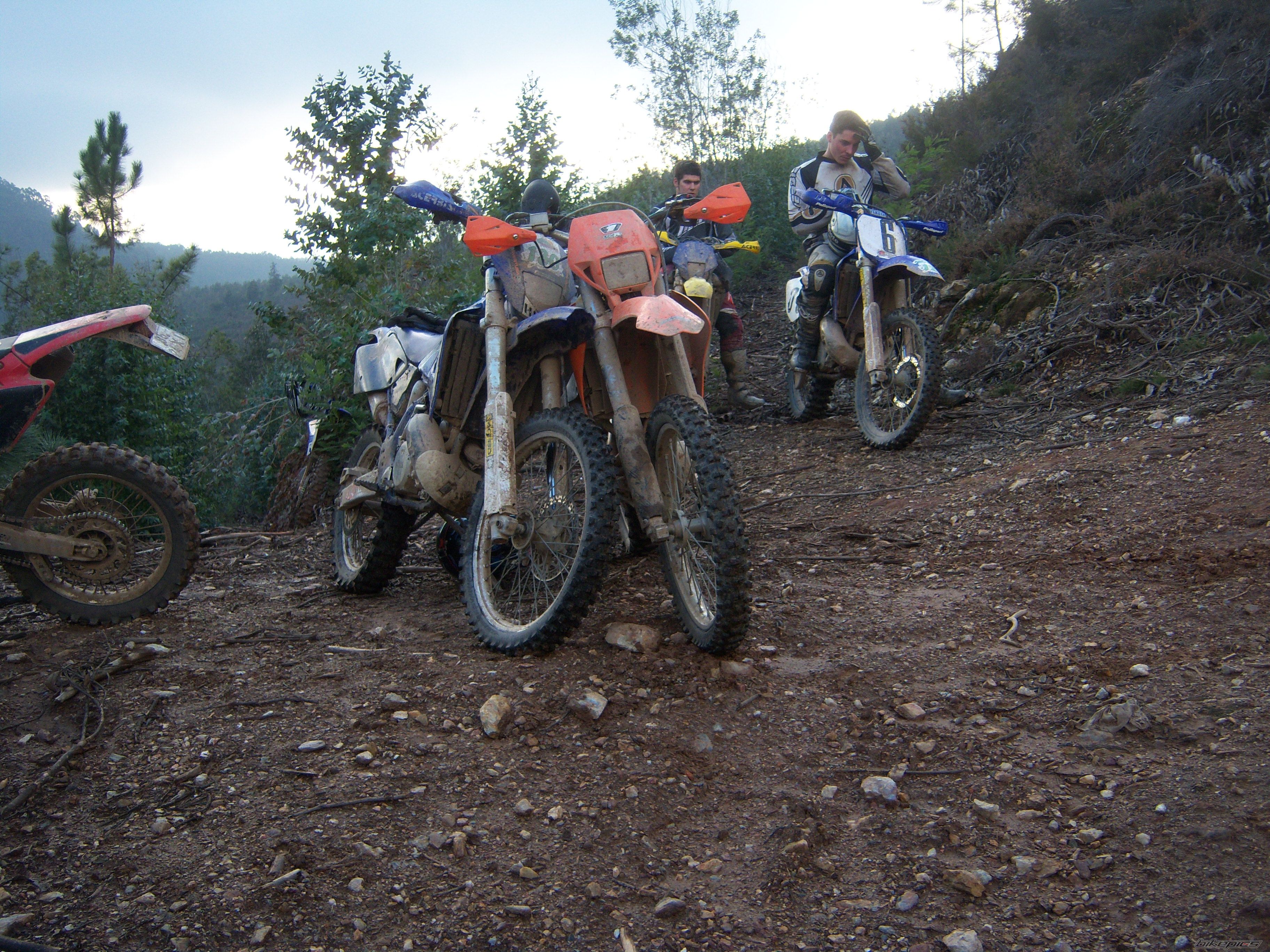 Photo 1677546