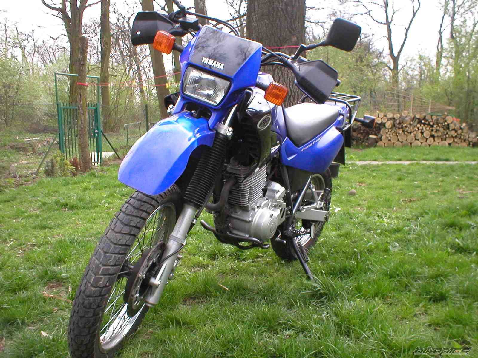 Photo 167756