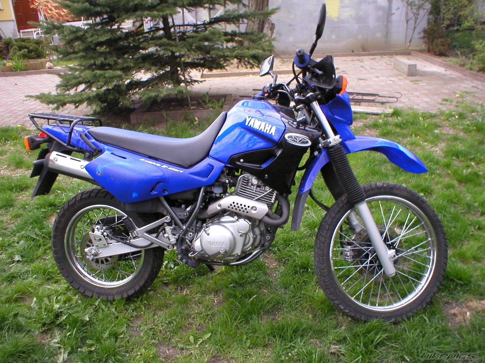 Photo 167757