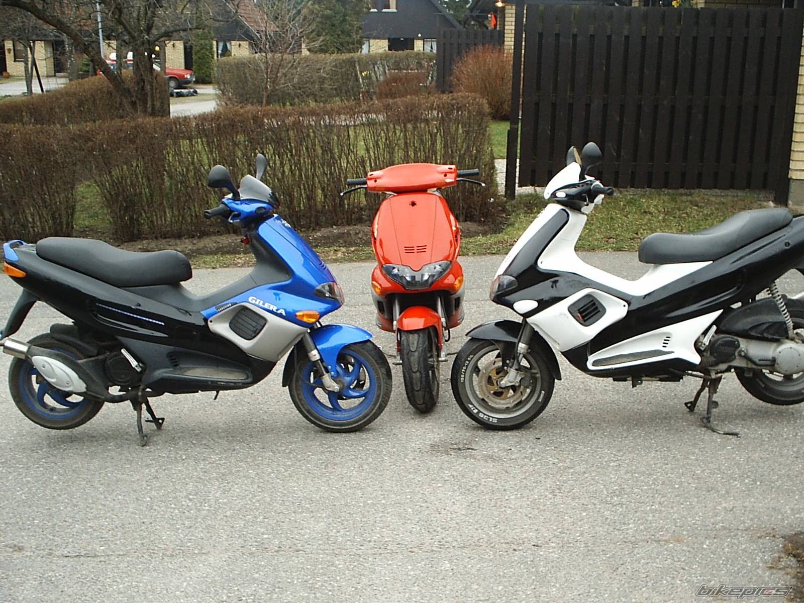 Photo 167758
