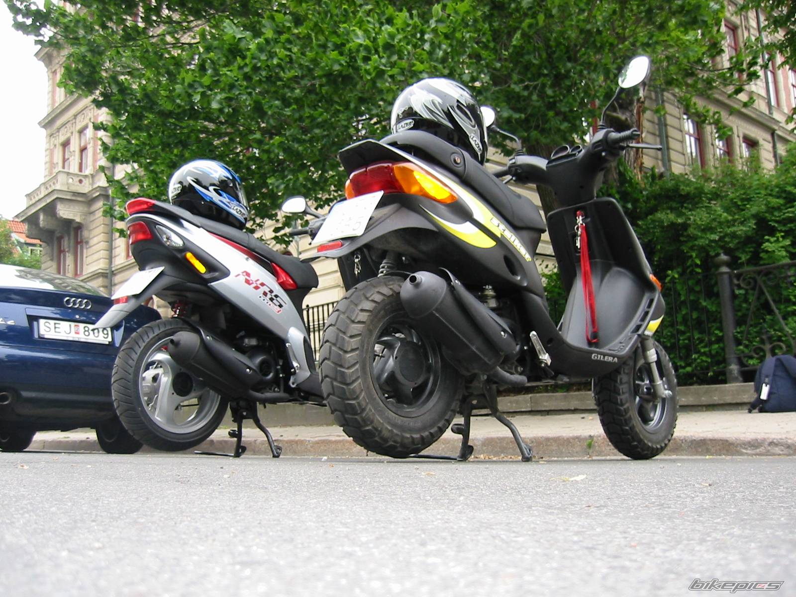 Photo 167759