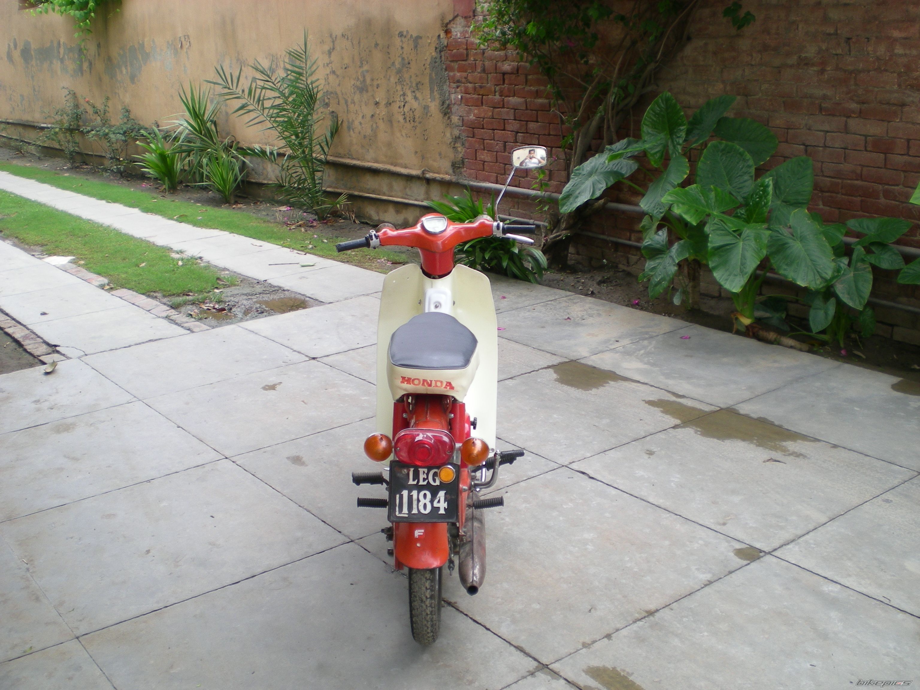 Photo 1677649