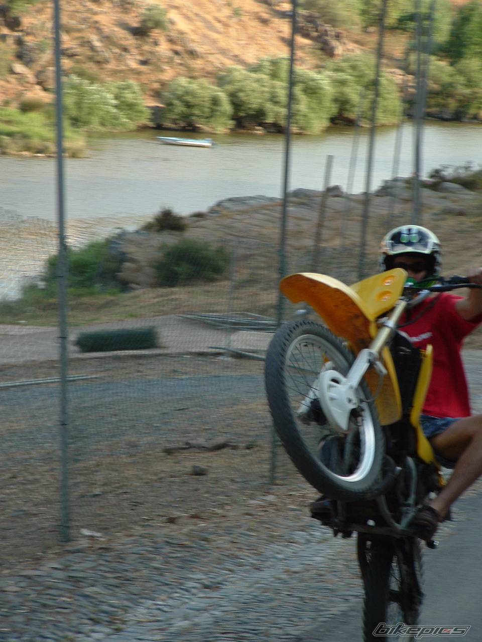 Photo 167771