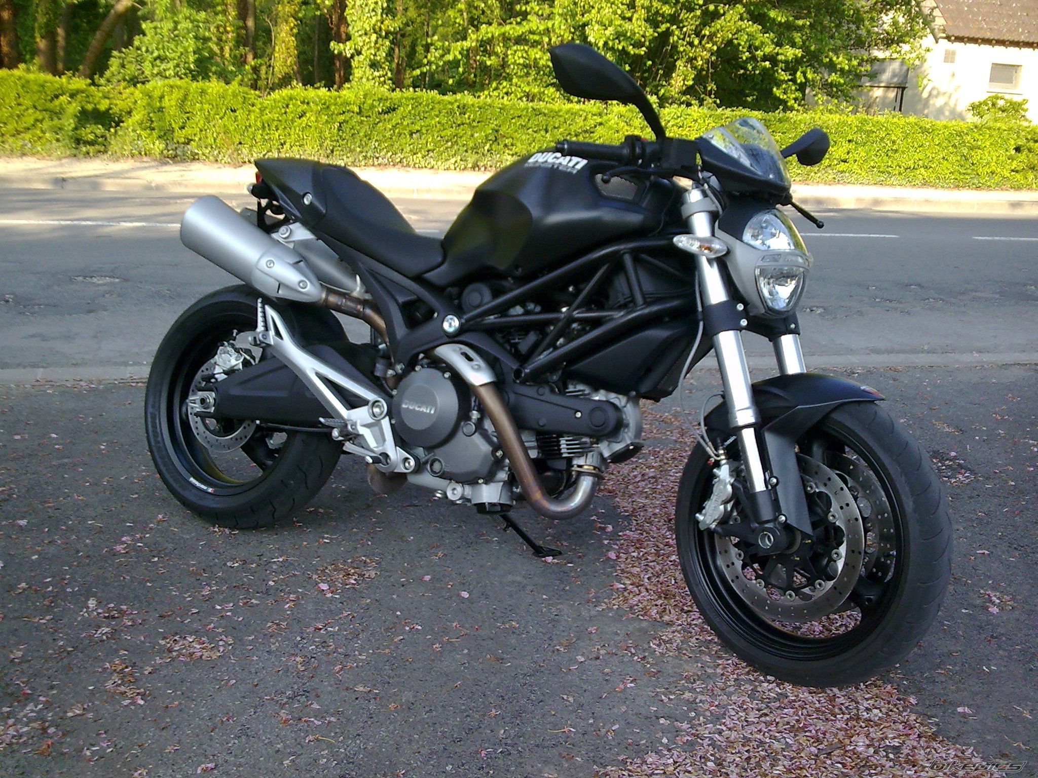 Photo 1677718