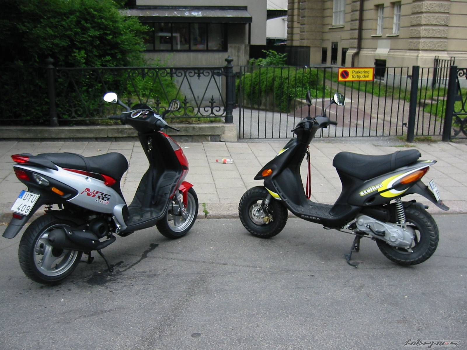 Photo 167778