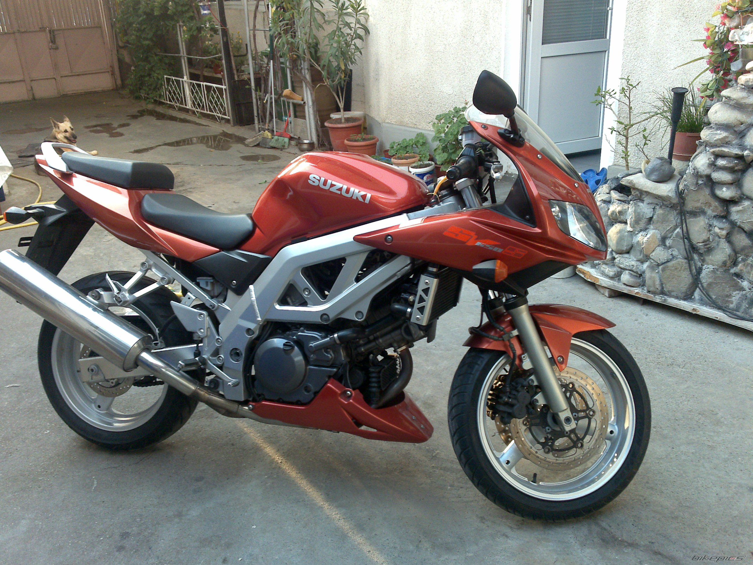 Photo 1677782