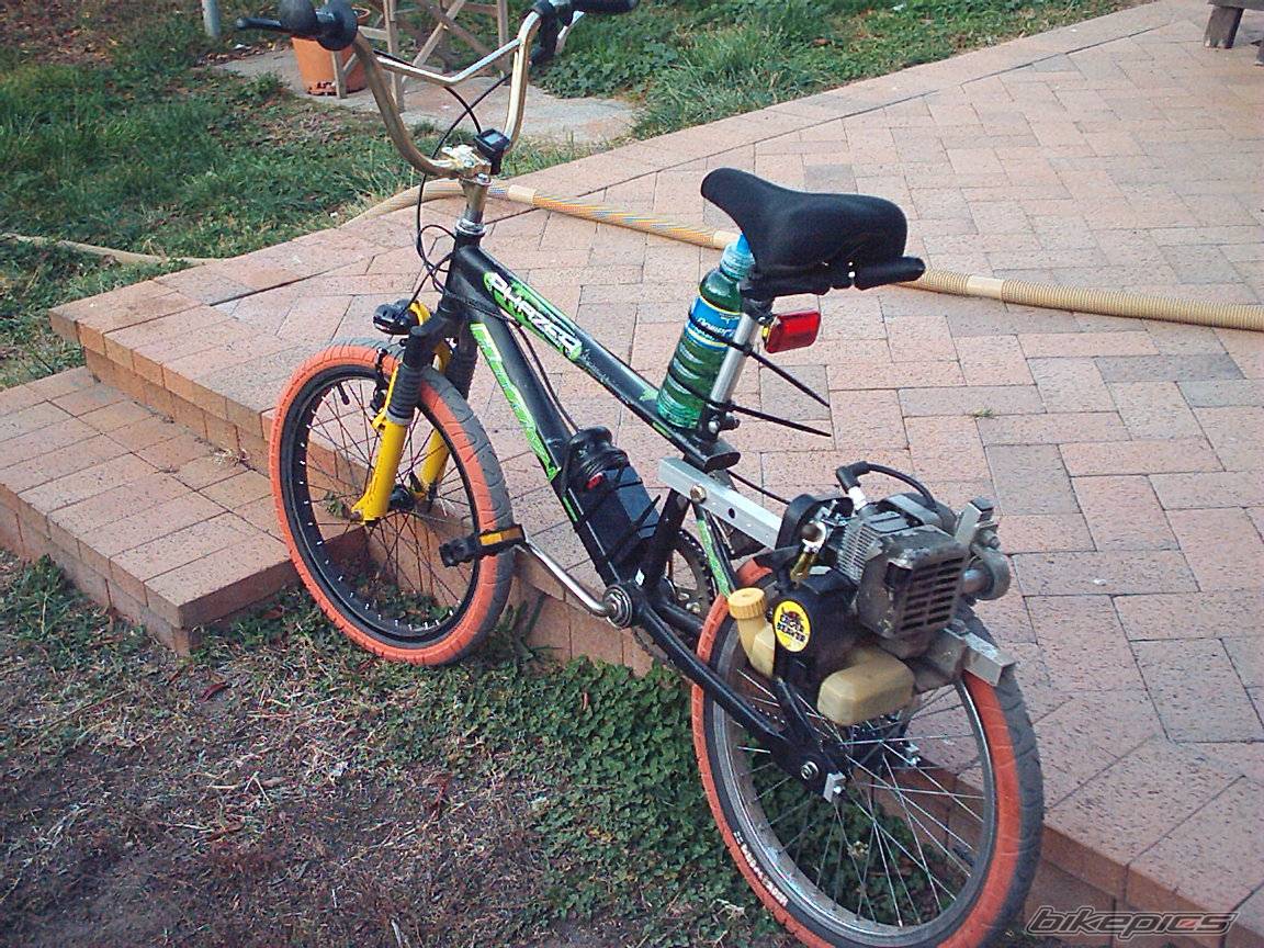 Photo 167779