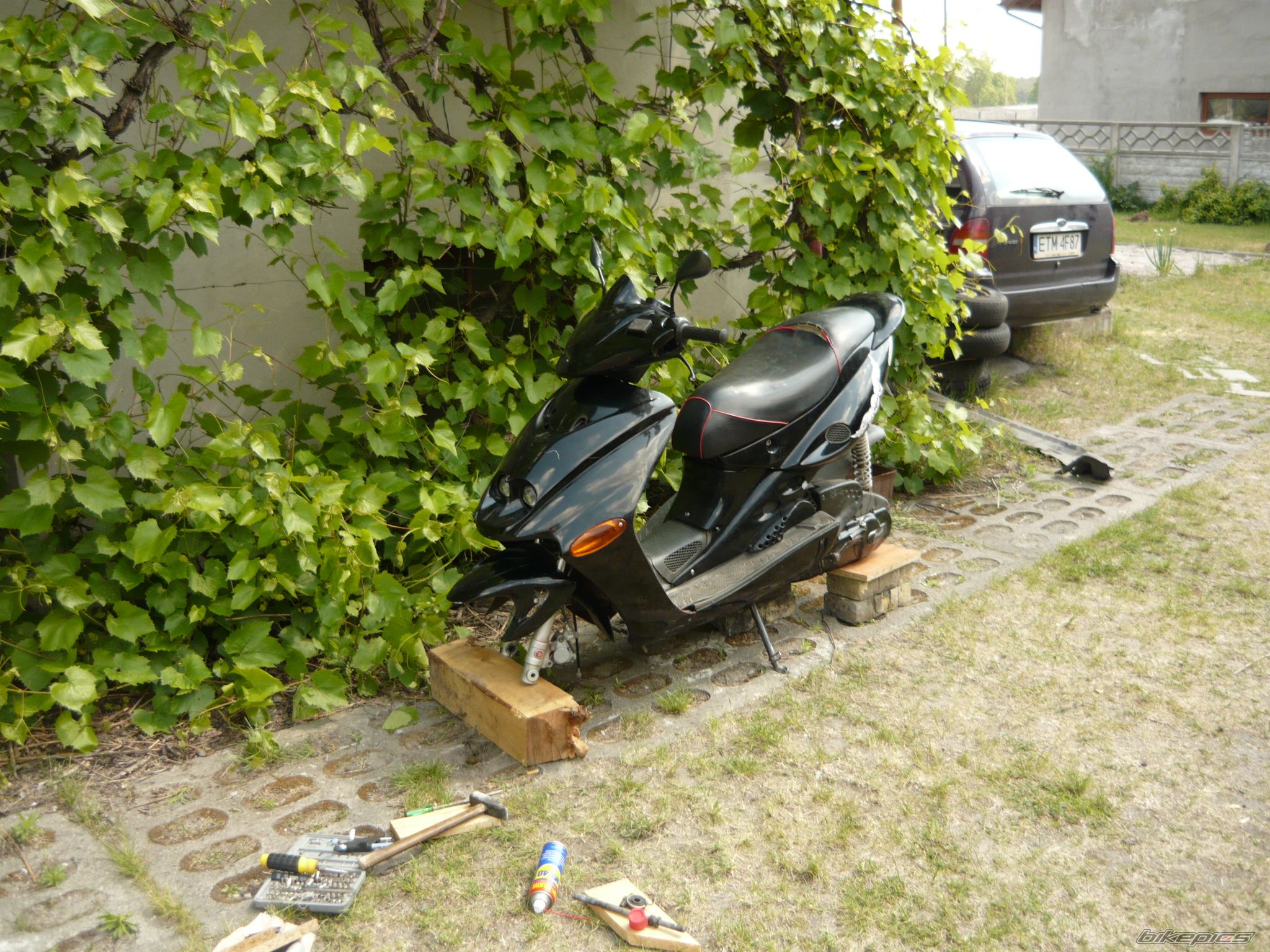 Photo 1677822
