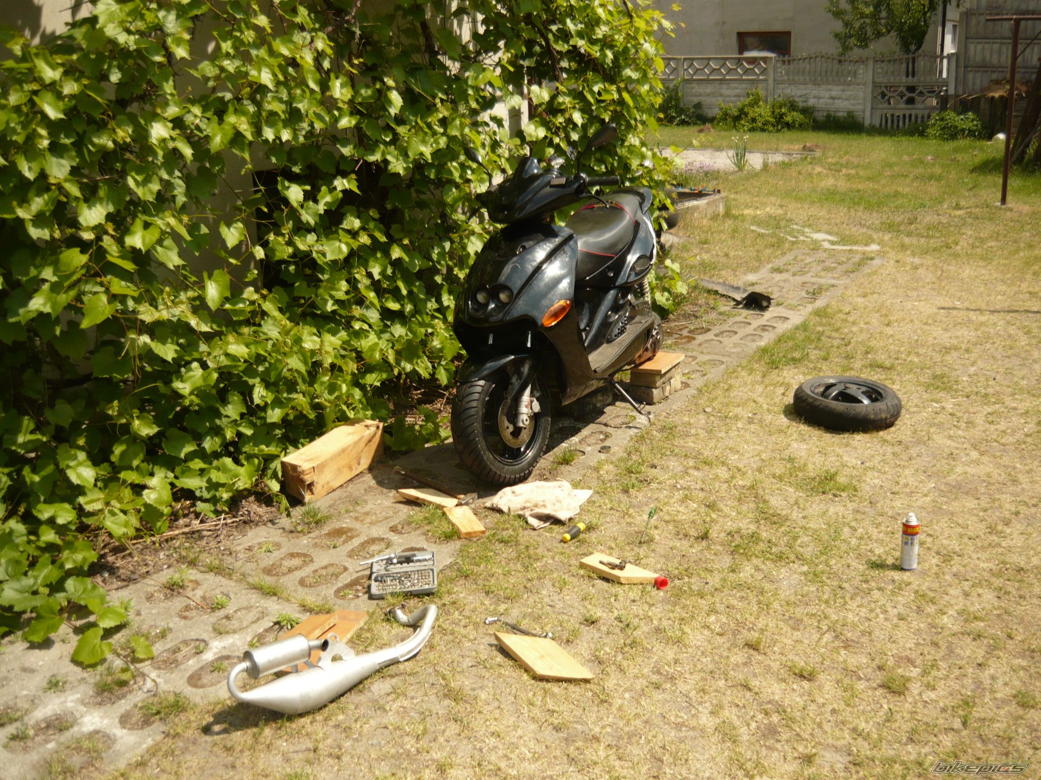 Photo 1677826