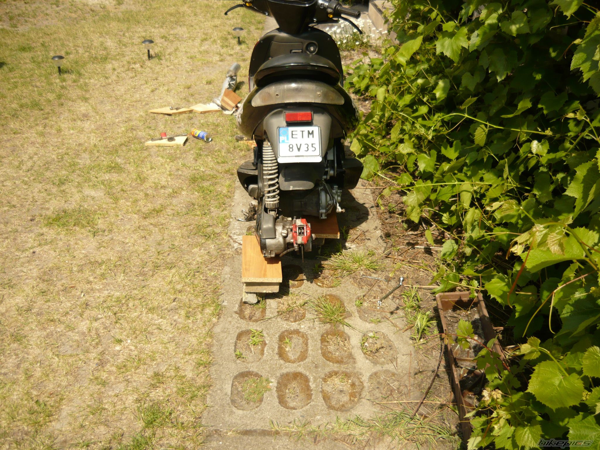 Photo 1677828