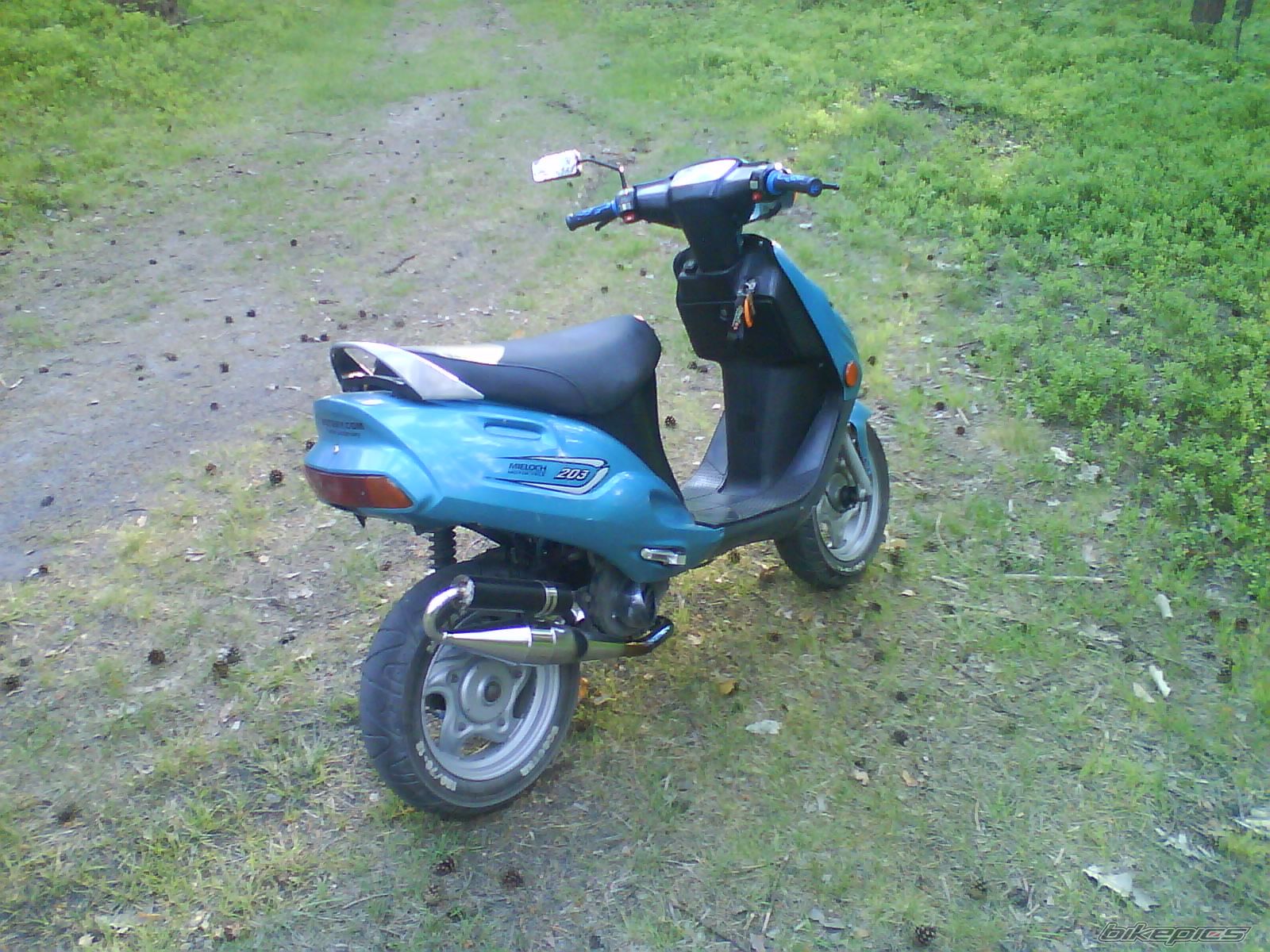 Photo 1677859