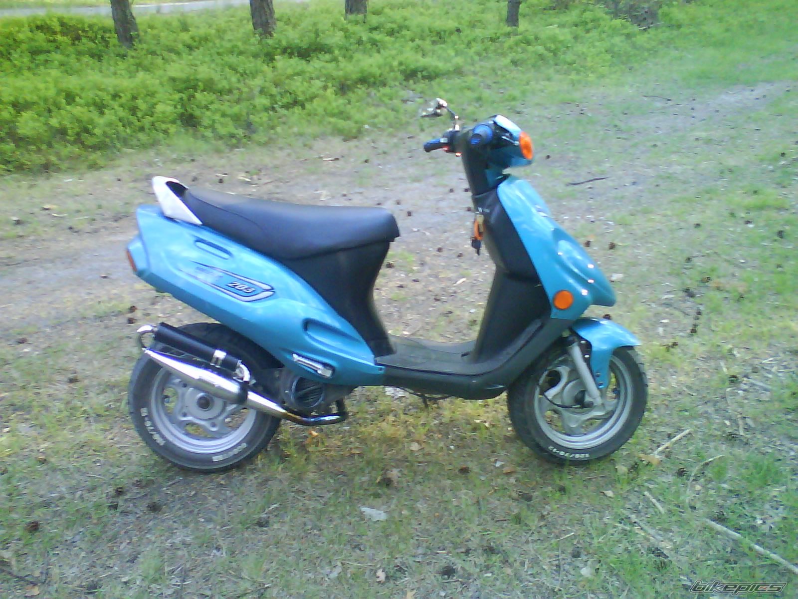 Photo 1677861