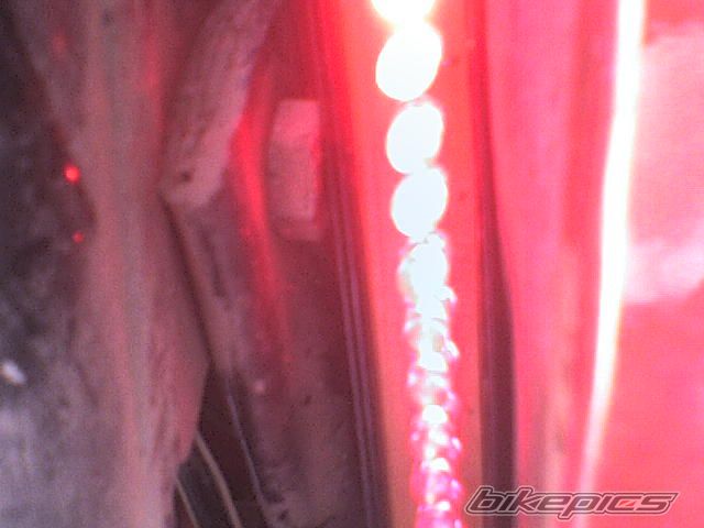 Photo 1677893