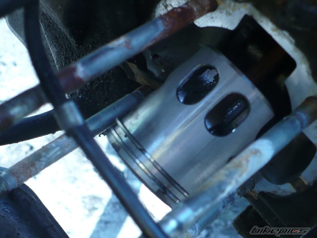 Photo 1677905