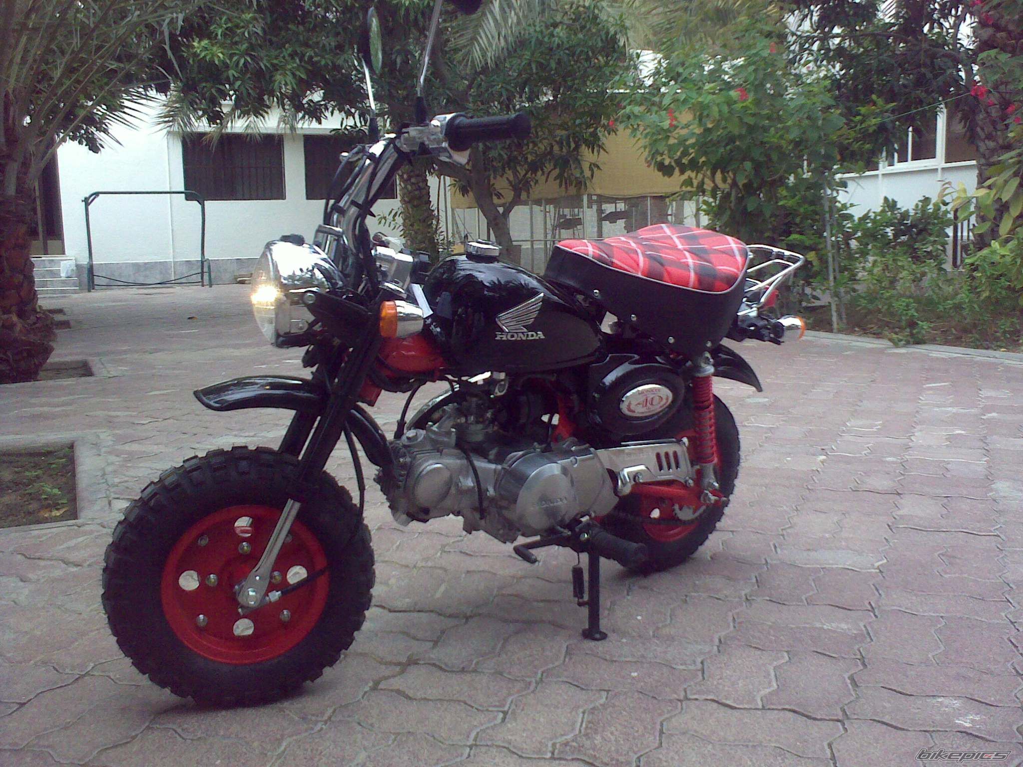 Photo 1677976