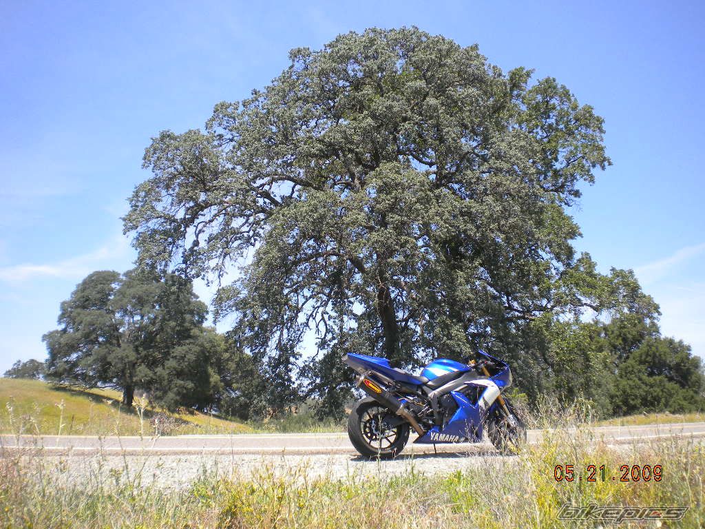 Bike Photo 1678043