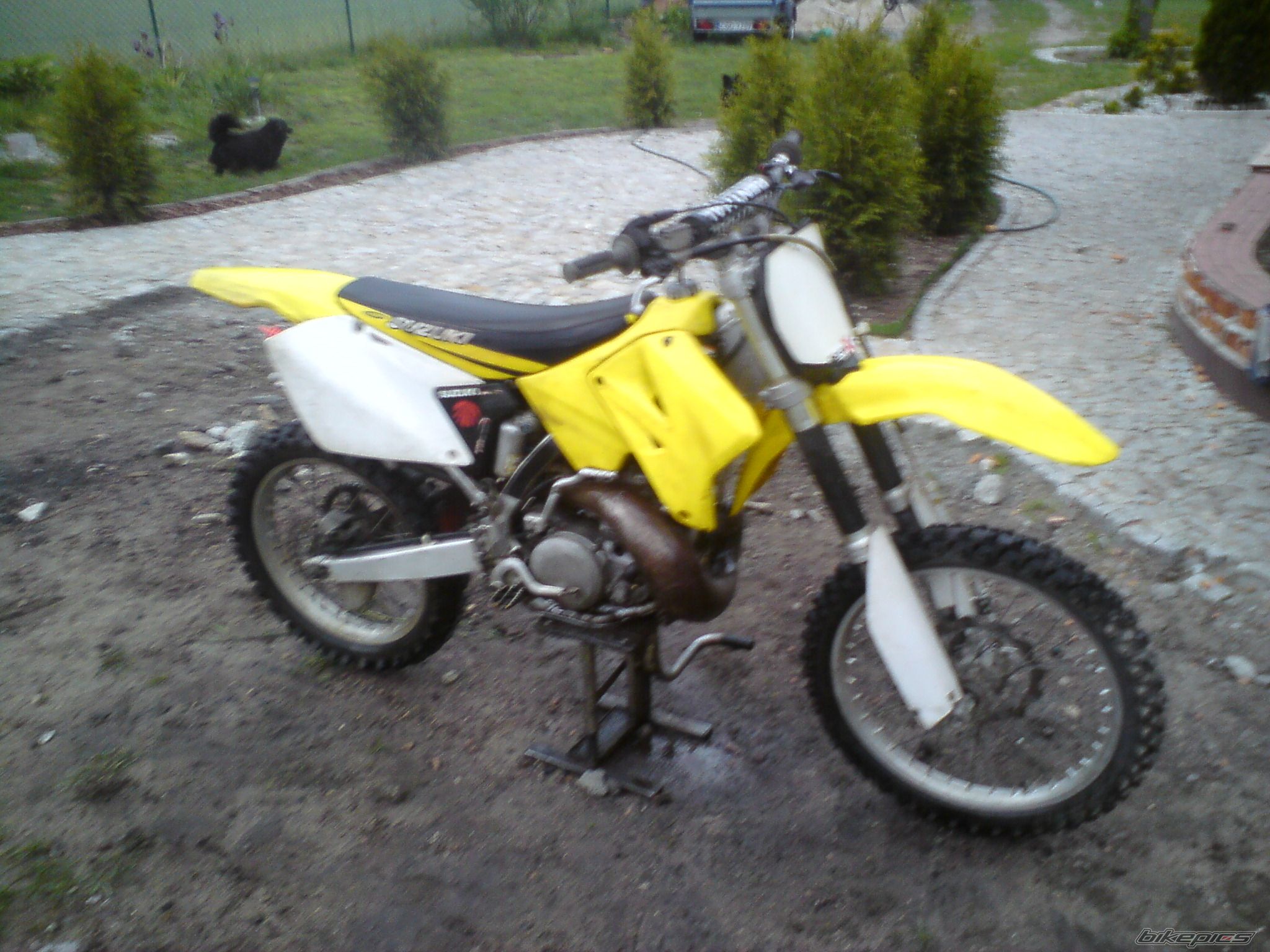 Photo 1678233