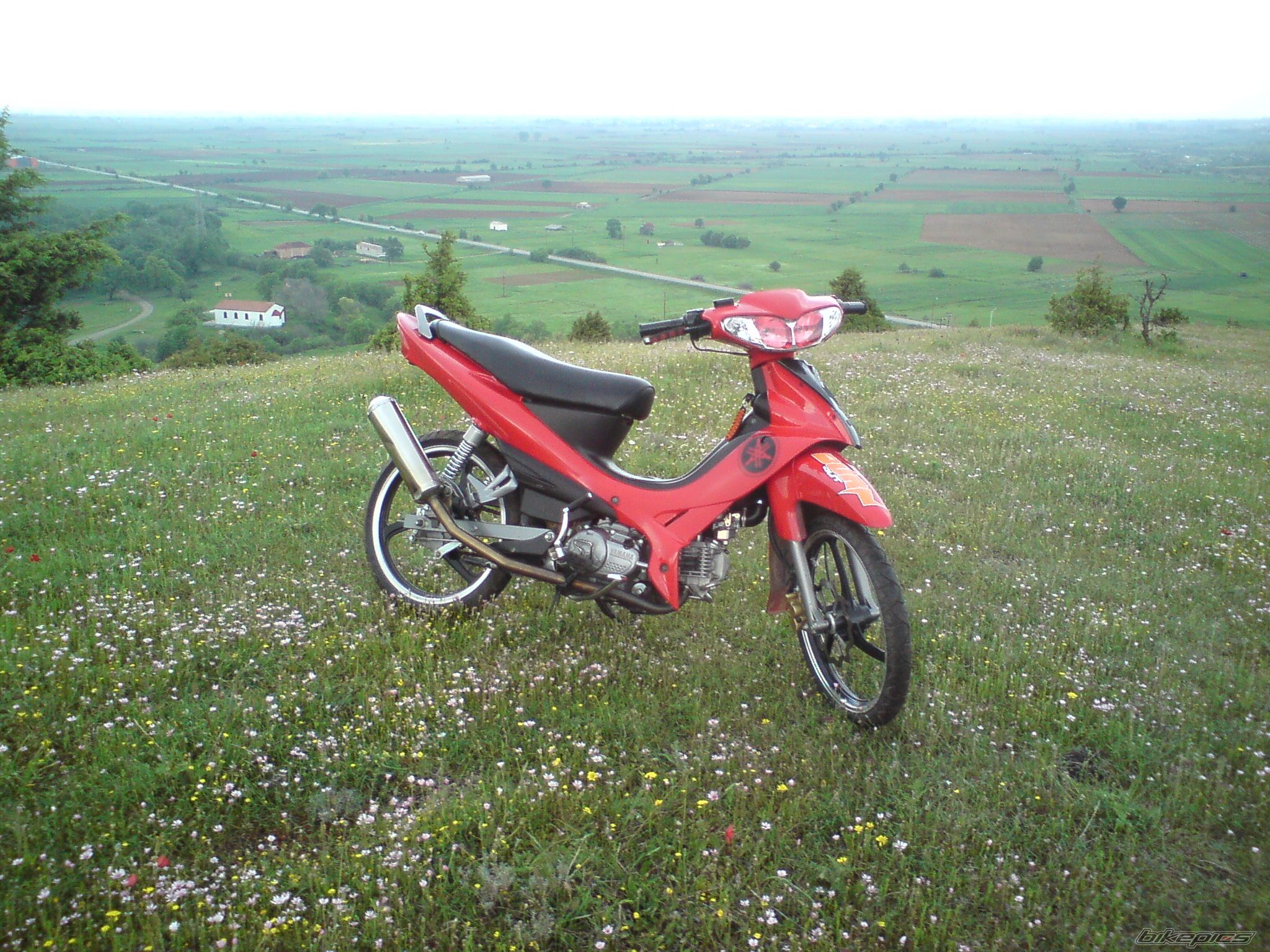 Photo 1678273