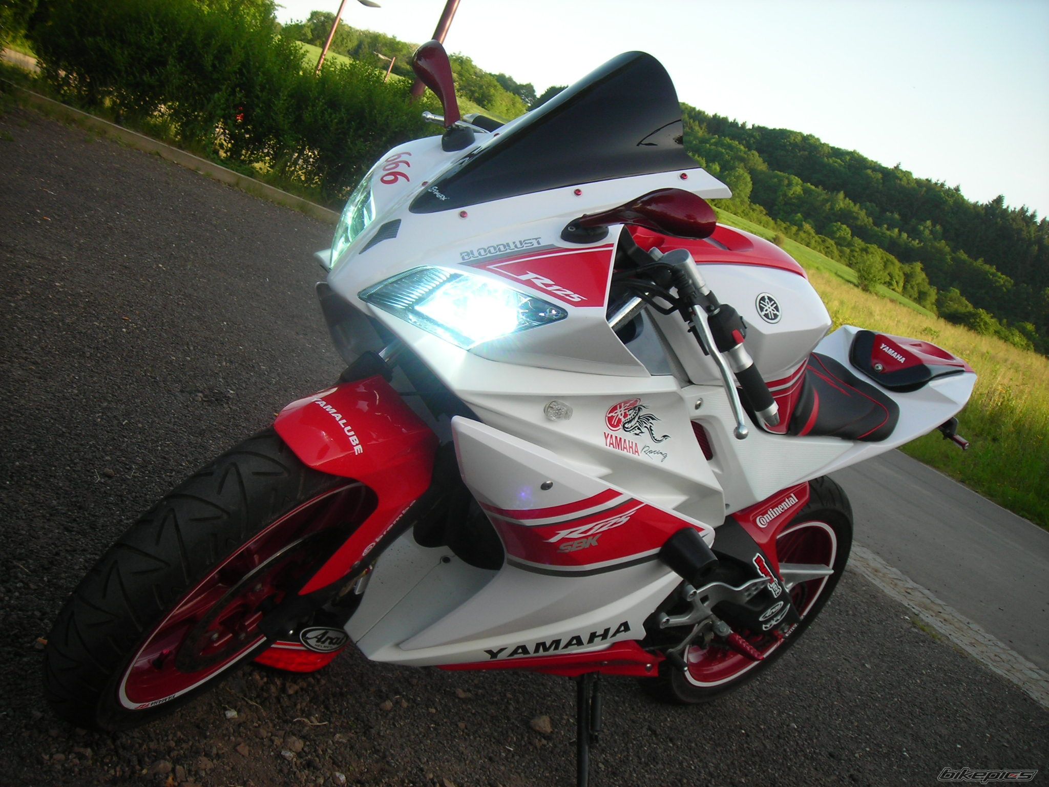Photo 1678304
