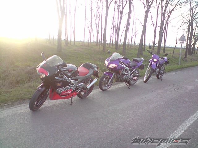 Photo 1678384