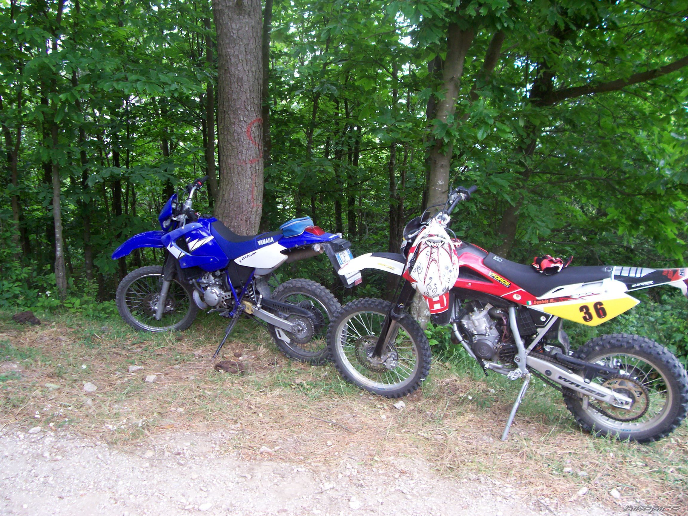 Photo 1678439