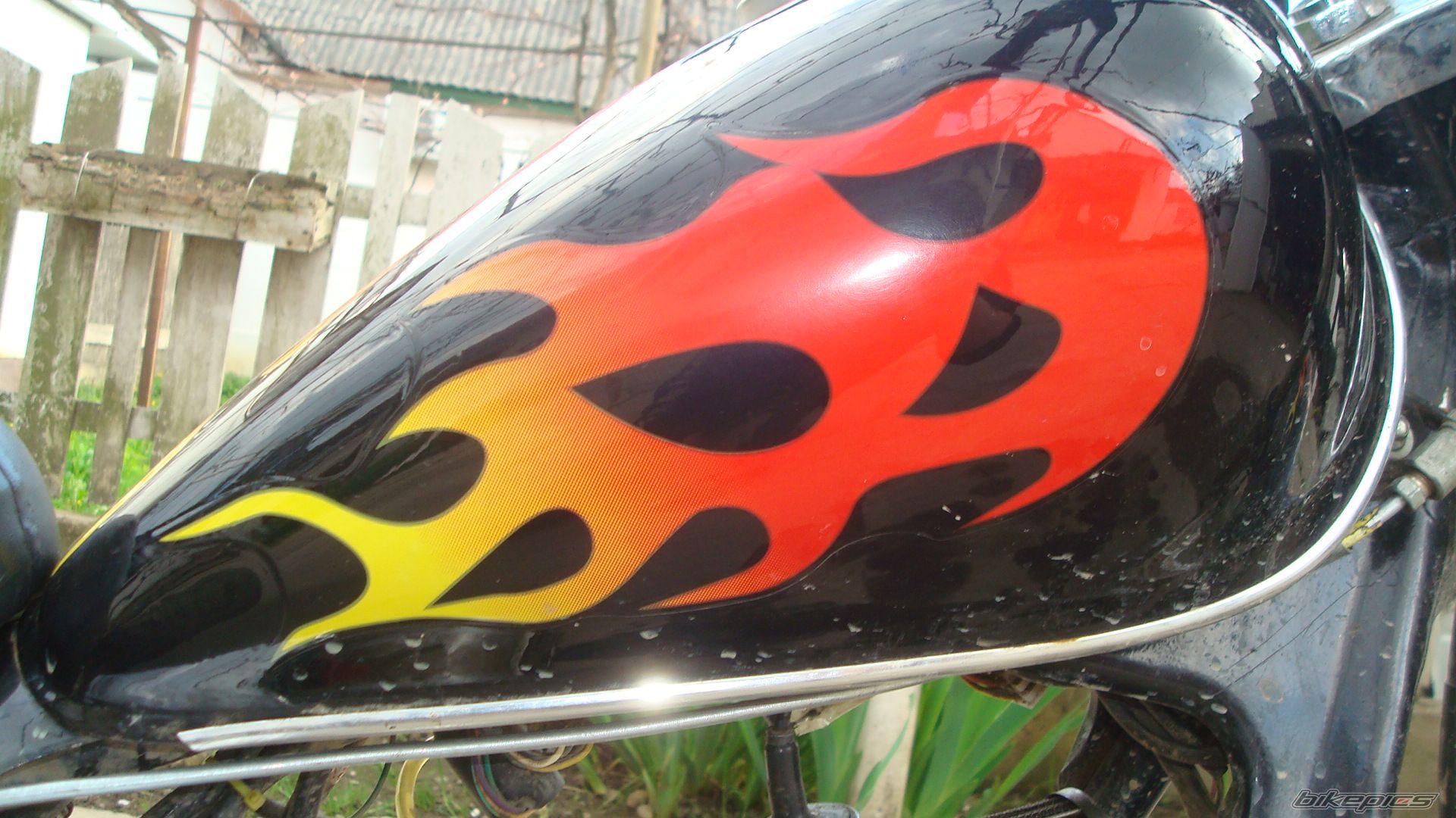 Photo 1678749