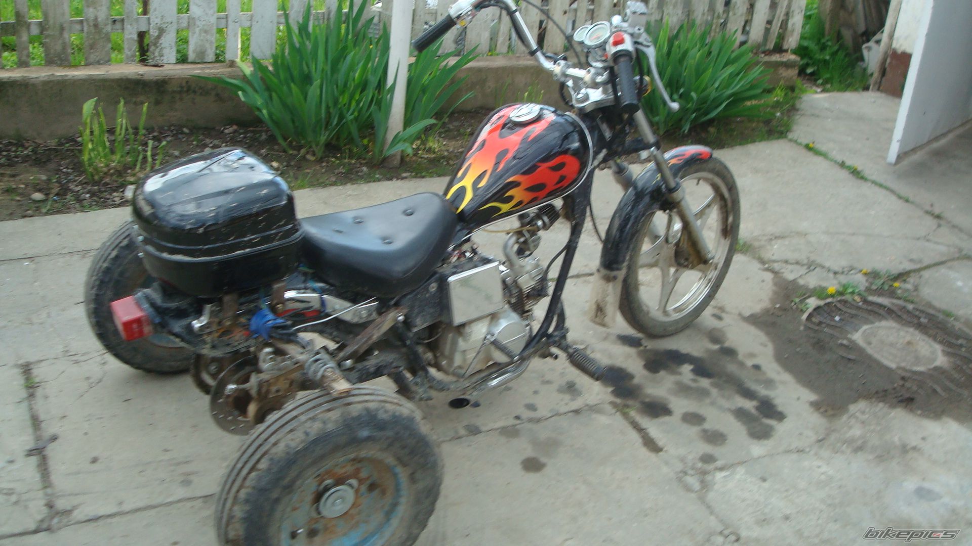 Photo 1678781