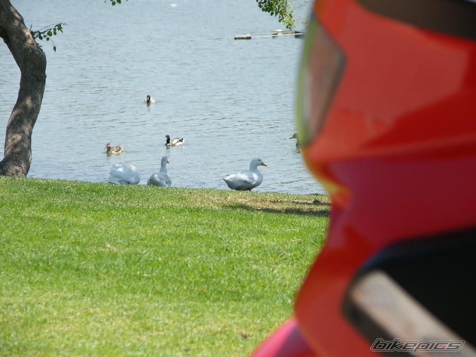 Photo 1678808