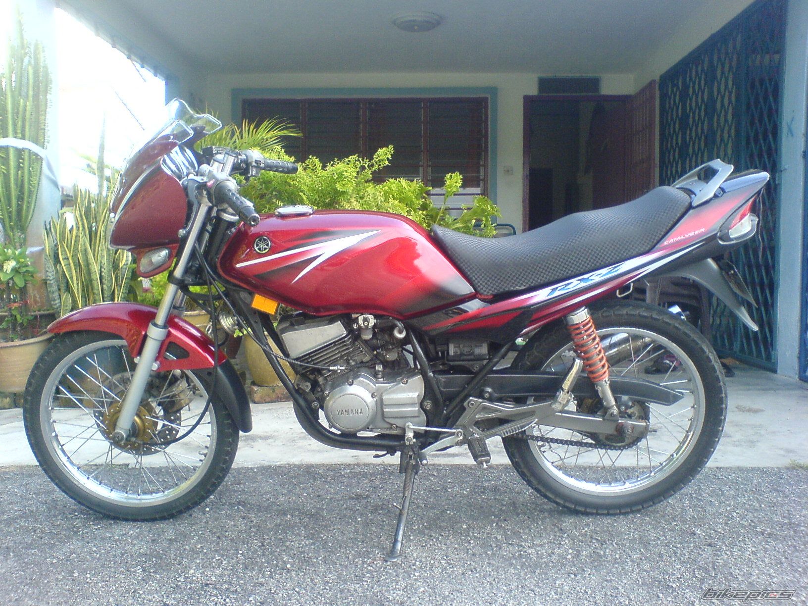 Photo 1678852