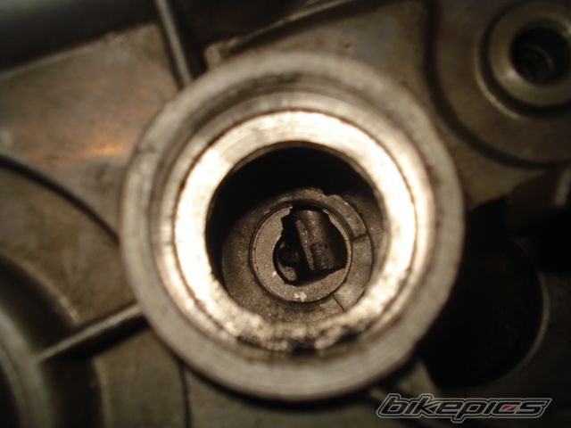 Photo 1678909