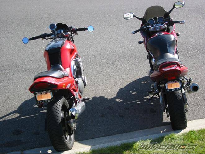Photo 167897