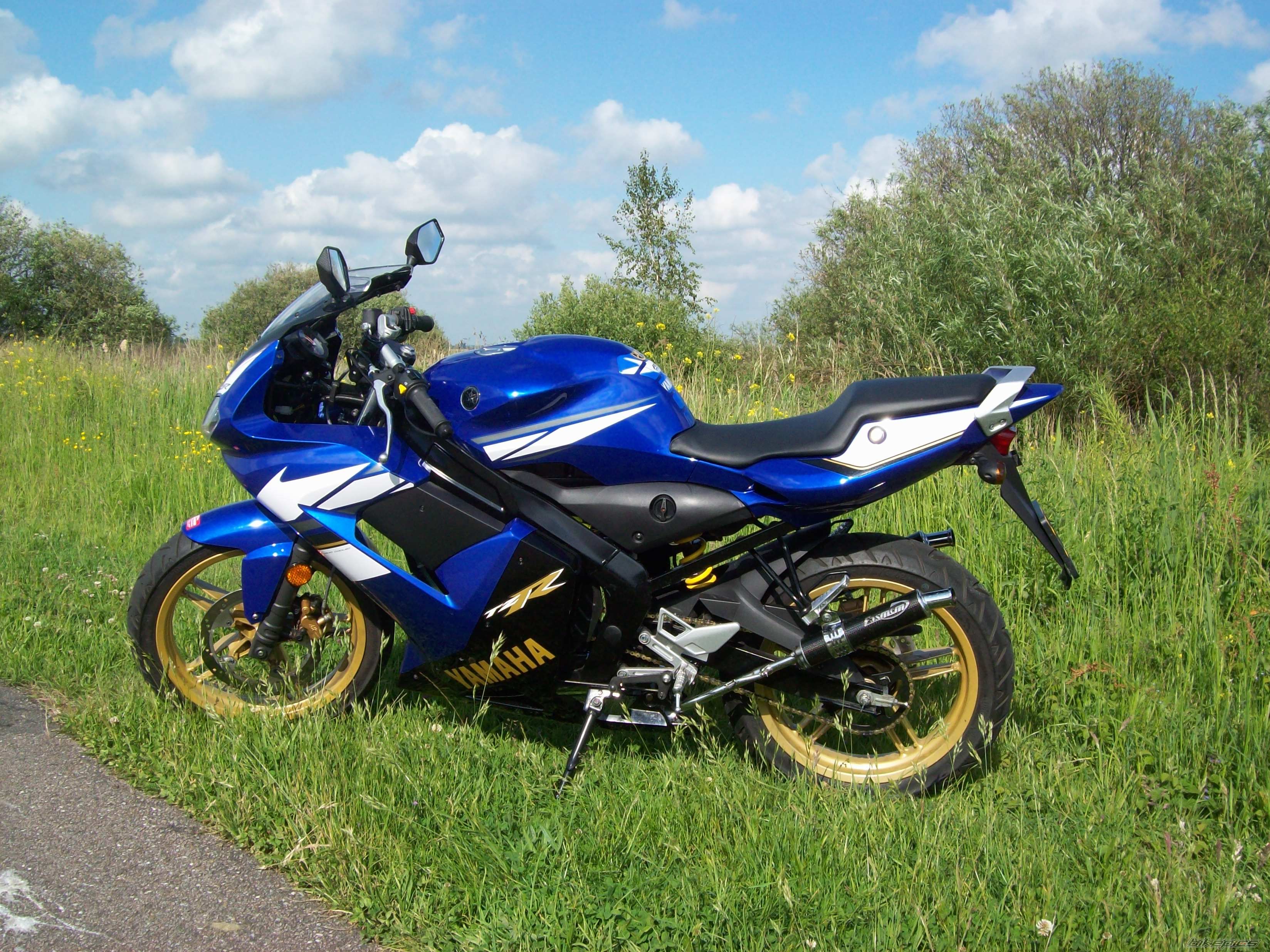 Photo 1679009