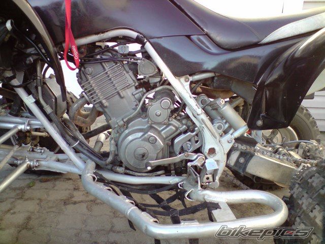 Photo 1679186