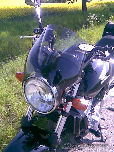 Photo 1679202