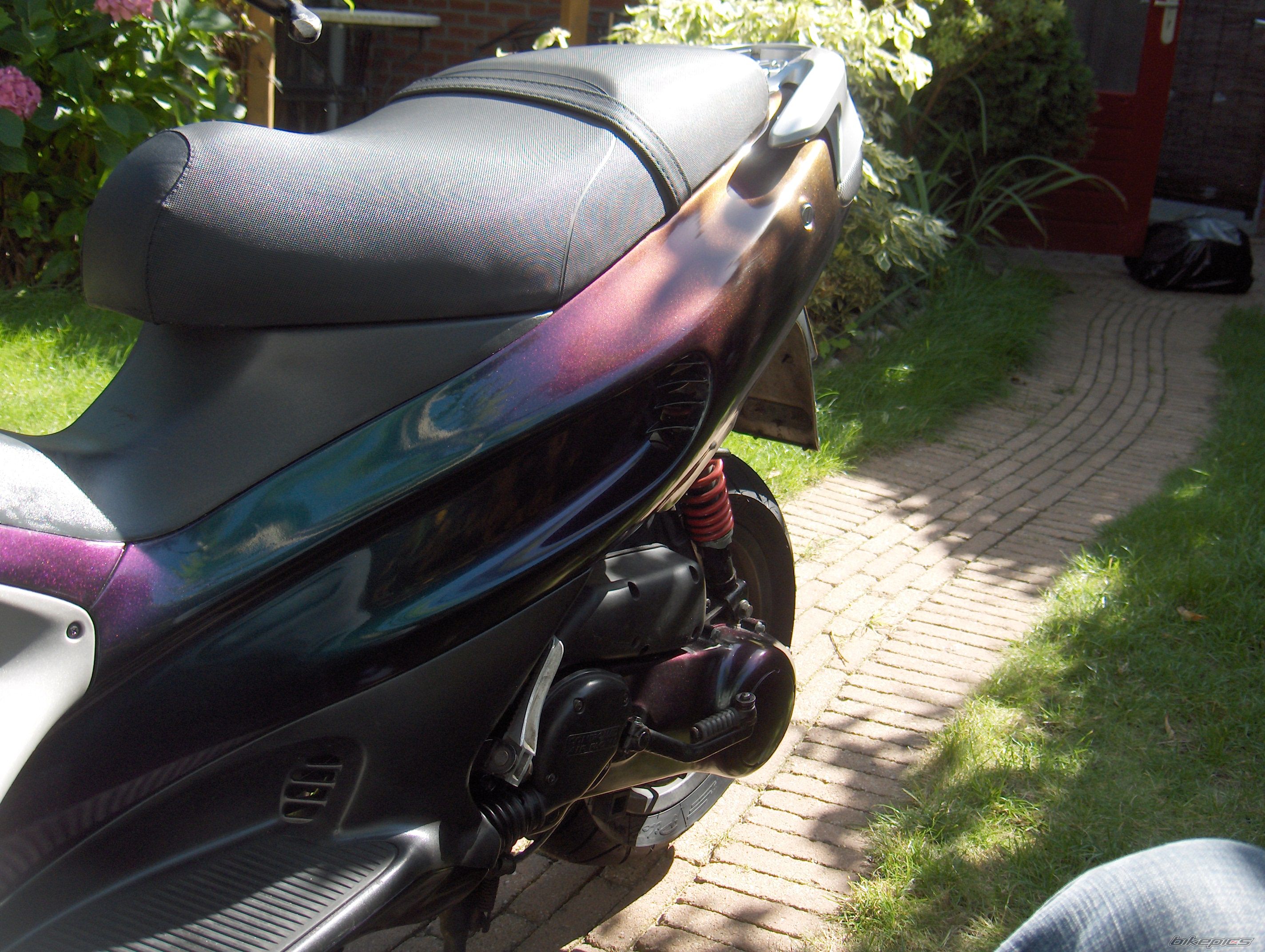 Photo 1679235
