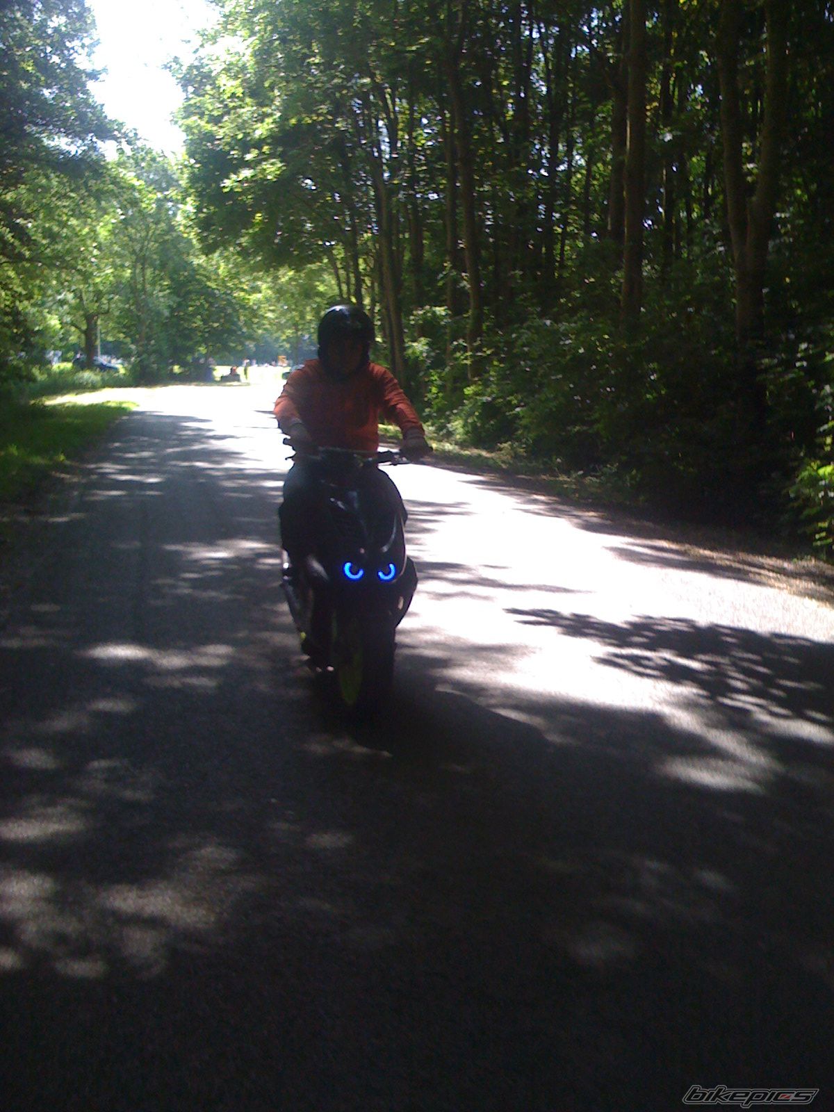 Photo 1679252