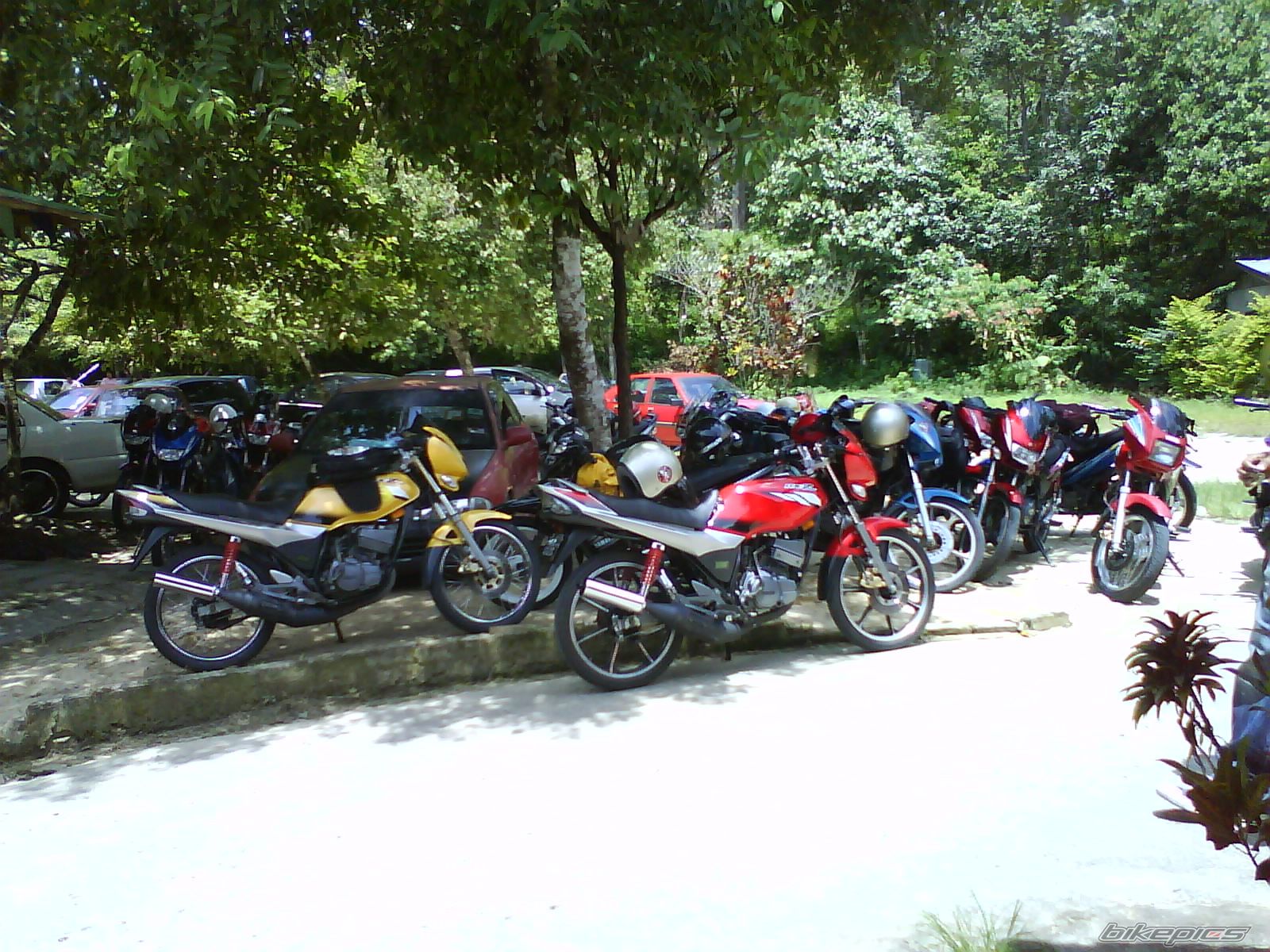 Bike Photo 1679291