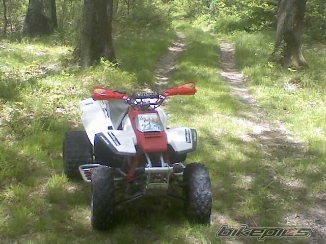 Photo 1679343