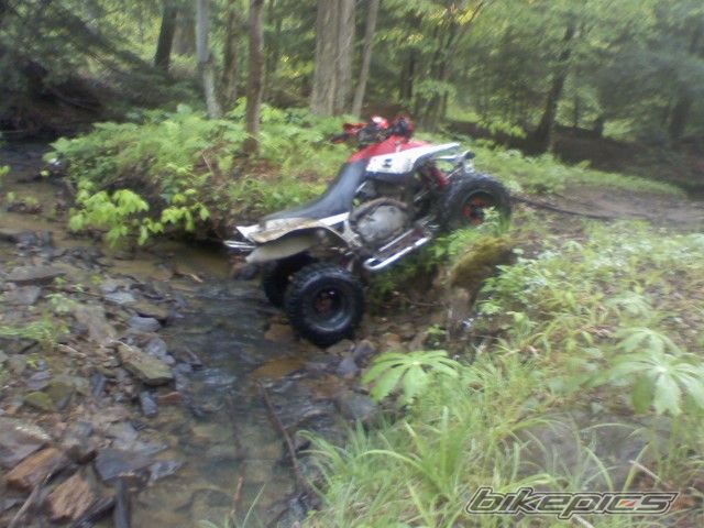 Photo 1679346