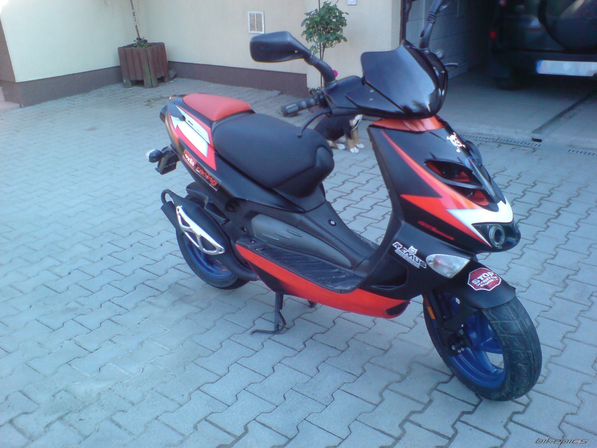 Bike Photo 1679396