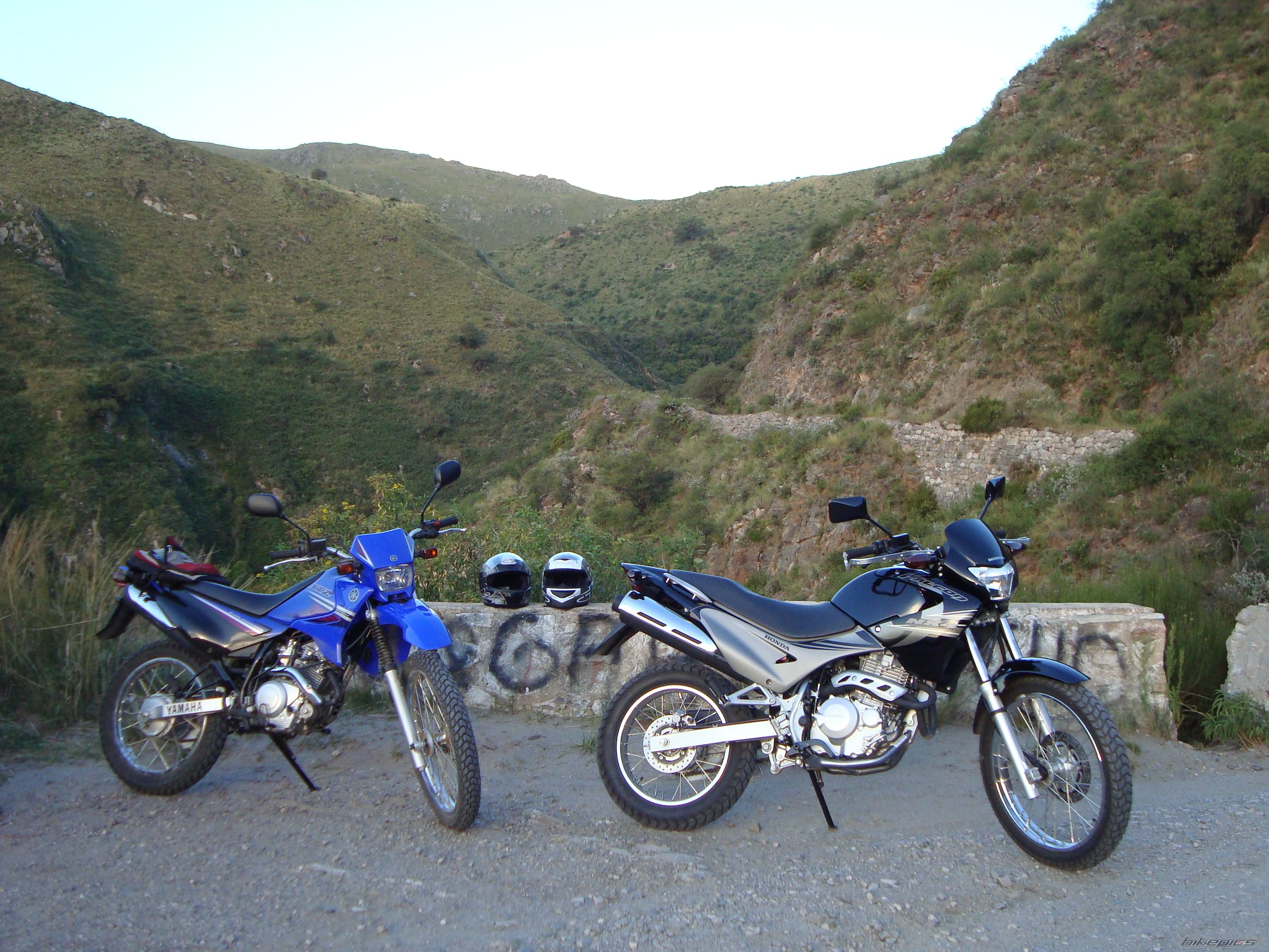 Photo 1679628