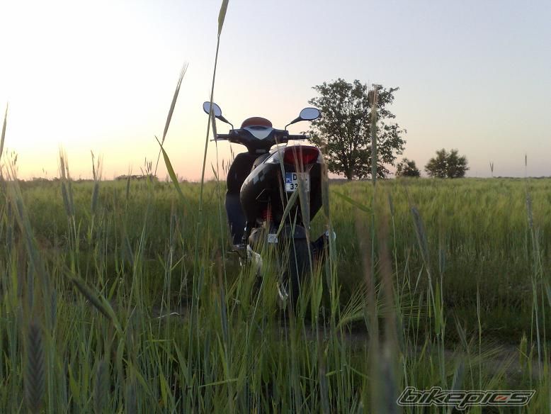Bike Photo 1679675