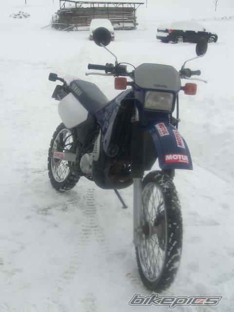 Photo 1679762