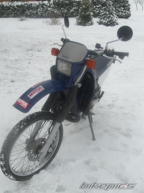 Photo 1679765