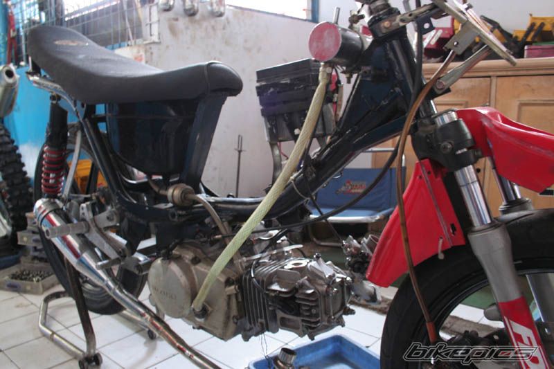 Photo 1679769