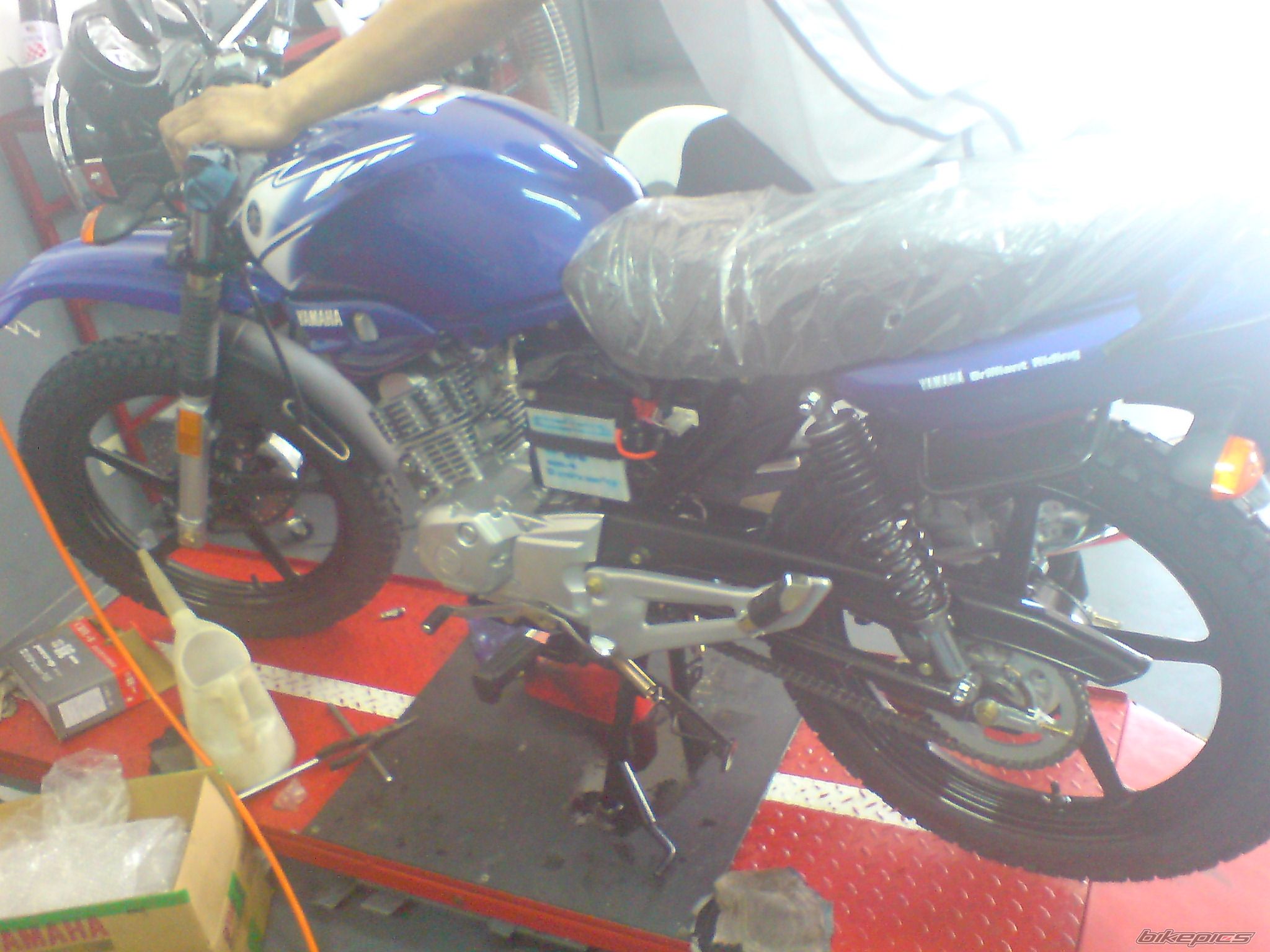Photo 1679981