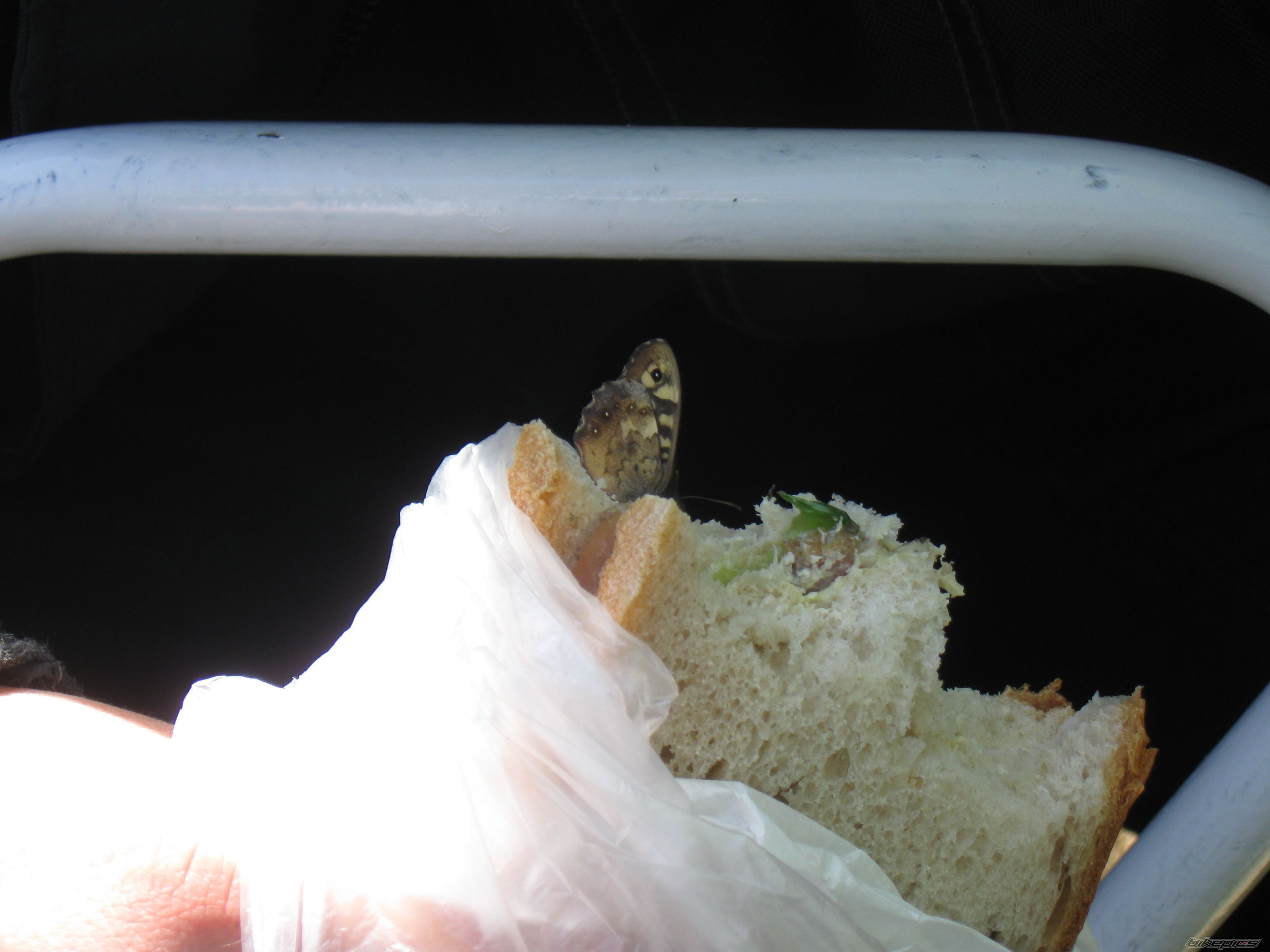 Photo 1680144