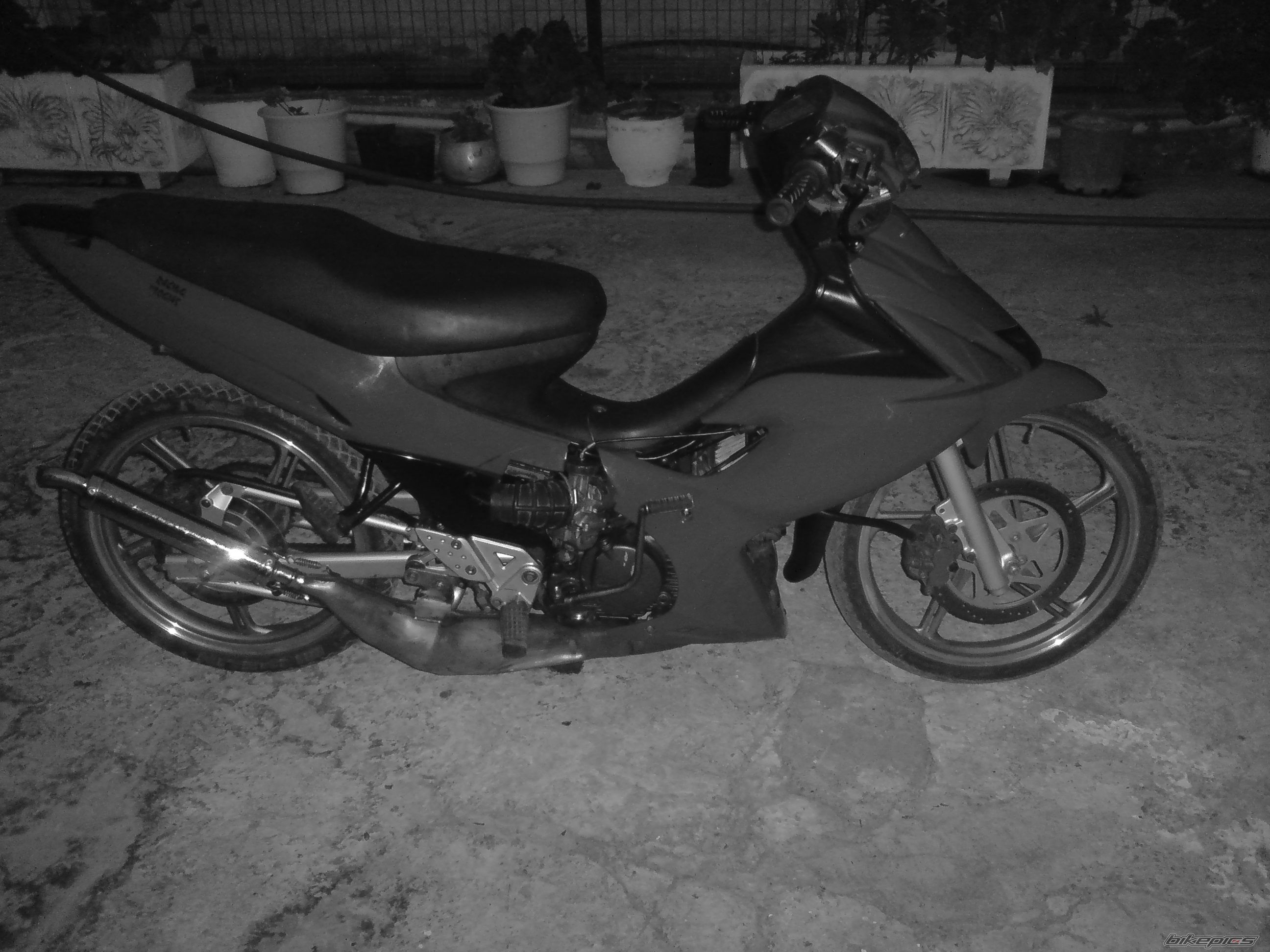 Photo 1680229